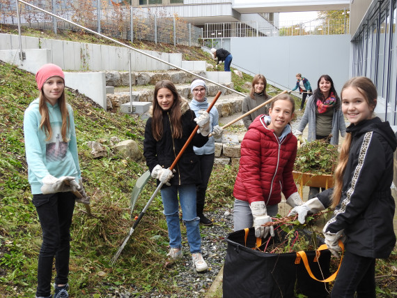Mehrere Schülerinnen pflegen die Blühwiese des Schulhofs des Jakob-Brucker-Gymnasiums