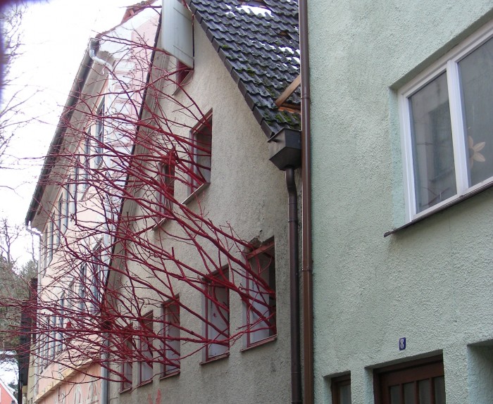 Aus den Fenstern des alten Hauses, an dessen Stelle der Museumsneubau entstehen soll, ragen rote Äste heraus.