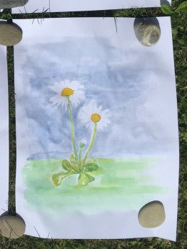 selbstgemaltes Aquarell zweier Gänseblümchen