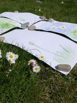 vier Blätter mit Kinderzeichnungen von Gänseblümchen auf einer Wiese mit Gänseblümchen  