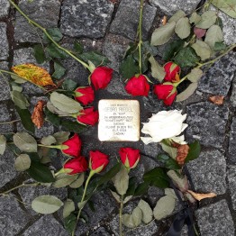 Stolperstein Georg Riedels, umgeben von roten Rosen