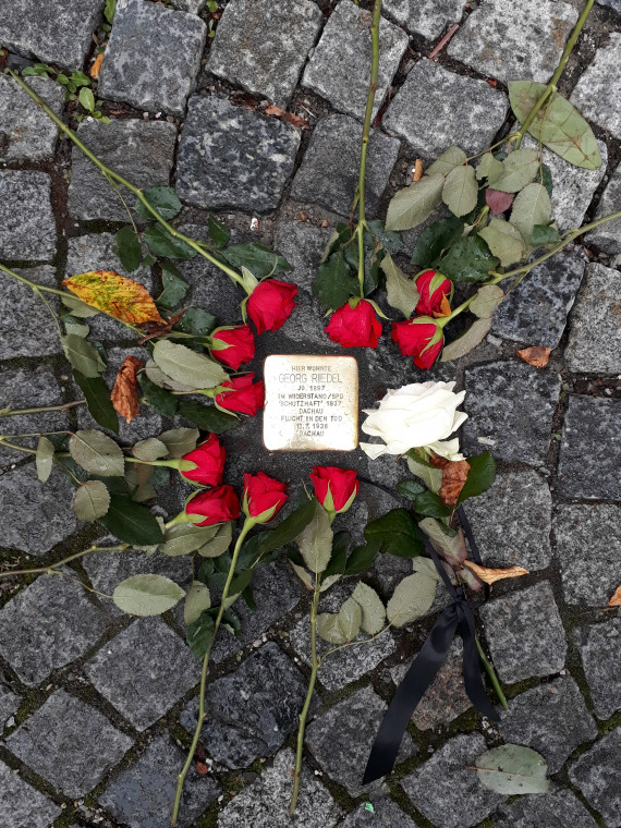 Stolperstein von Georg Riedel umrahmt von 10 roten und einer weißen Rose